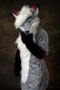 Filename=DSC_3191.jpg
Filesize=3044KiB
Dimensions=2860x4296
Date added=Feb 01, 2006 DSC_3191.jpg