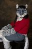 Filename=DSC_3307.jpg
Filesize=3293KiB
Dimensions=2860x4296
Date added=Feb 01, 2006 DSC_3307.jpg