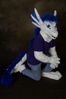 Filename=DSC_3342.jpg
Filesize=2748KiB
Dimensions=2860x4296
Date added=Feb 01, 2006 DSC_3342.jpg