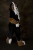 Filename=DSC_3414.jpg
Filesize=2752KiB
Dimensions=2860x4296
Date added=Feb 01, 2006 DSC_3414.jpg