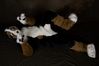 Filename=DSC_3415.jpg
Filesize=2612KiB
Dimensions=4296x2860
Date added=Feb 01, 2006 DSC_3415.jpg
