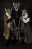 Filename=DSC_3932.jpg
Filesize=3216KiB
Dimensions=2860x4296
Date added=Feb 01, 2006 DSC_3932.jpg
