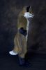 Filename=DSC_3936.jpg
Filesize=3063KiB
Dimensions=2860x4296
Date added=Feb 01, 2006 DSC_3936.jpg