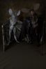 Filename=DSC_4645.jpg
Filesize=2713KiB
Dimensions=2860x4296
Date added=Feb 01, 2006 DSC_4645.jpg
