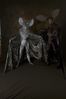 Filename=DSC_4647.jpg
Filesize=2740KiB
Dimensions=2860x4296
Date added=Feb 01, 2006 DSC_4647.jpg