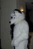 Filename=DSC_2698.jpg
Filesize=2134KiB
Dimensions=2860x4296
Date added=Feb 02, 2006 DSC_2698.jpg