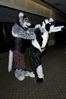 Filename=DSC_2709.jpg
Filesize=3555KiB
Dimensions=2860x4296
Date added=Feb 02, 2006 DSC_2709.jpg