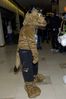 Filename=DSC_2721.jpg
Filesize=3057KiB
Dimensions=2860x4296
Date added=Feb 02, 2006 DSC_2721.jpg