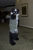 Filename=DSC_2727.jpg
Filesize=3207KiB
Dimensions=2860x4296
Date added=Feb 02, 2006 DSC_2727.jpg