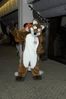 Filename=DSC_2795.jpg
Filesize=3767KiB
Dimensions=2860x4296
Date added=Feb 02, 2006 DSC_2795.jpg