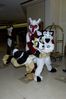 Filename=DSC_2815.jpg
Filesize=2962KiB
Dimensions=2860x4296
Date added=Feb 02, 2006 DSC_2815.jpg