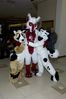 Filename=DSC_2816.jpg
Filesize=3153KiB
Dimensions=2860x4296
Date added=Feb 02, 2006 DSC_2816.jpg