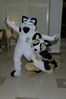 Filename=DSC_2817.jpg
Filesize=2369KiB
Dimensions=2860x4296
Date added=Feb 02, 2006 DSC_2817.jpg