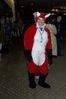 Filename=DSC_2825.jpg
Filesize=3059KiB
Dimensions=2860x4296
Date added=Feb 02, 2006 DSC_2825.jpg