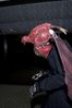 Filename=DSC_2829.jpg
Filesize=2592KiB
Dimensions=2860x4296
Date added=Feb 02, 2006 DSC_2829.jpg