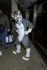 Filename=DSC_2835.jpg
Filesize=3628KiB
Dimensions=2860x4296
Date added=Feb 02, 2006 DSC_2835.jpg