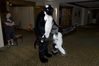 Filename=DSC_2974.jpg
Filesize=3086KiB
Dimensions=4296x2860
Date added=Feb 02, 2006 DSC_2974.jpg
