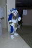 Filename=DSC_3002.jpg
Filesize=3200KiB
Dimensions=2860x4296
Date added=Feb 02, 2006 DSC_3002.jpg