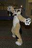 Filename=DSC_3077.jpg
Filesize=2800KiB
Dimensions=2860x4296
Date added=Feb 02, 2006 DSC_3077.jpg