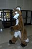 Filename=DSC_3093.jpg
Filesize=2630KiB
Dimensions=2860x4296
Date added=Feb 02, 2006 DSC_3093.jpg
