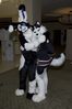Filename=DSC_3101.jpg
Filesize=3087KiB
Dimensions=2860x4296
Date added=Feb 02, 2006 DSC_3101.jpg