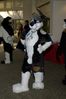 Filename=DSC_3106.jpg
Filesize=2797KiB
Dimensions=2860x4296
Date added=Feb 02, 2006 DSC_3106.jpg