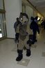 Filename=DSC_3132.jpg
Filesize=2721KiB
Dimensions=2860x4296
Date added=Feb 02, 2006 DSC_3132.jpg