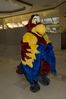 Filename=DSC_3136.jpg
Filesize=2602KiB
Dimensions=2860x4296
Date added=Feb 02, 2006 DSC_3136.jpg