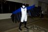 Filename=DSC_3364.jpg
Filesize=3107KiB
Dimensions=4296x2860
Date added=Feb 02, 2006 DSC_3364.jpg