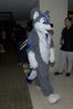 Filename=DSC_4071.jpg
Filesize=3055KiB
Dimensions=2860x4296
Date added=Feb 02, 2006 DSC_4071.jpg