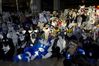 Filename=DSC_4160.jpg
Filesize=3485KiB
Dimensions=4296x2860
Date added=Feb 02, 2006 DSC_4160.jpg
