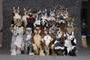 Filename=_DSC1633.jpg
Filesize=4660KiB
Dimensions=4296x2860
Date added=Feb 08, 2010 _DSC1633.jpg
