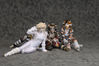Filename=_DSC2437.jpg
Filesize=4226KiB
Dimensions=4296x2860
Date added=Feb 08, 2010 _DSC2437.jpg