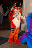 Filename=DSC_8688.jpg
Filesize=4697KiB
Dimensions=2860x4304
Date added=Jan 18, 2011 DSC_8688.jpg