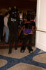 Filename=DSC_8691.jpg
Filesize=5061KiB
Dimensions=2860x4304
Date added=Jan 18, 2011 DSC_8691.jpg