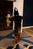 Filename=DSC_8794.jpg
Filesize=5110KiB
Dimensions=2860x4304
Date added=Jan 18, 2011 DSC_8794.jpg
