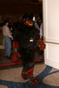 Filename=DSC_8813.jpg
Filesize=5221KiB
Dimensions=2860x4304
Date added=Jan 18, 2011 DSC_8813.jpg