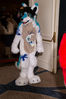 Filename=DSC_8818.jpg
Filesize=3975KiB
Dimensions=2860x4304
Date added=Jan 18, 2011 DSC_8818.jpg
