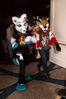 Filename=DSC_8827.jpg
Filesize=4660KiB
Dimensions=2860x4304
Date added=Jan 18, 2011 DSC_8827.jpg