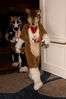 Filename=DSC_8938.jpg
Filesize=4332KiB
Dimensions=2860x4304
Date added=Jan 18, 2011 DSC_8938.jpg