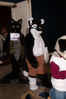 Filename=DSC_8964.jpg
Filesize=4038KiB
Dimensions=2860x4304
Date added=Jan 18, 2011 DSC_8964.jpg