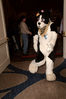 Filename=DSC_9087.jpg
Filesize=4395KiB
Dimensions=2860x4304
Date added=Jan 18, 2011 DSC_9087.jpg