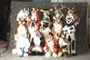 Filename=_DSC5890.jpg
Filesize=2215KiB
Dimensions=4296x2852
Date added=Jan 31, 2011 _DSC5890.jpg
