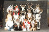 Filename=_DSC5895.jpg
Filesize=2222KiB
Dimensions=4296x2852
Date added=Jan 31, 2011 _DSC5895.jpg