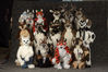 Filename=_DSC5899.jpg
Filesize=1859KiB
Dimensions=4296x2852
Date added=Jan 31, 2011 _DSC5899.jpg