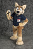 Filename=_DSC0068.jpg
Filesize=2124KiB
Dimensions=2852x4296
Date added=Feb 12, 2012 _DSC0068.jpg