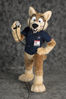 Filename=_DSC0069.jpg
Filesize=2125KiB
Dimensions=2852x4296
Date added=Feb 12, 2012 _DSC0069.jpg