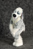 Filename=_DSC0164.jpg
Filesize=2024KiB
Dimensions=2852x4296
Date added=Feb 12, 2012 _DSC0164.jpg
