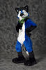 Filename=_DSC0206.jpg
Filesize=2093KiB
Dimensions=2852x4296
Date added=Feb 12, 2012 _DSC0206.jpg