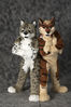 Filename=_DSC0432.jpg
Filesize=2119KiB
Dimensions=2852x4296
Date added=Feb 12, 2012 _DSC0432.jpg